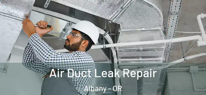  Air Duct Leak Repair Albany - OR