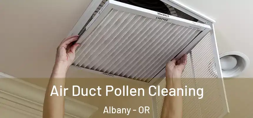  Air Duct Pollen Cleaning Albany - OR