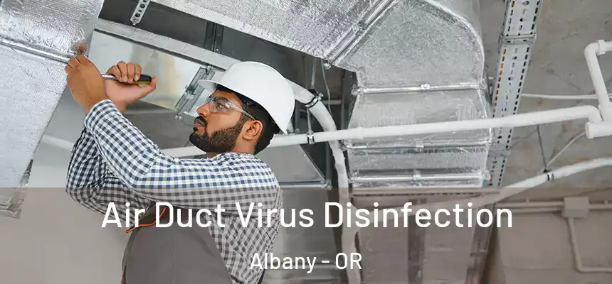  Air Duct Virus Disinfection Albany - OR