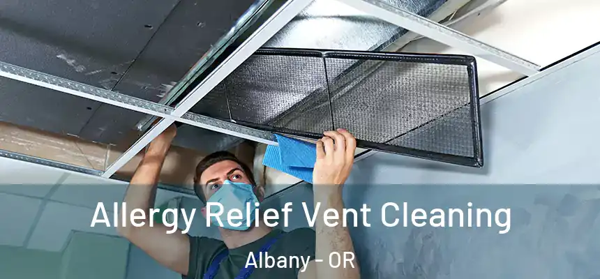  Allergy Relief Vent Cleaning Albany - OR