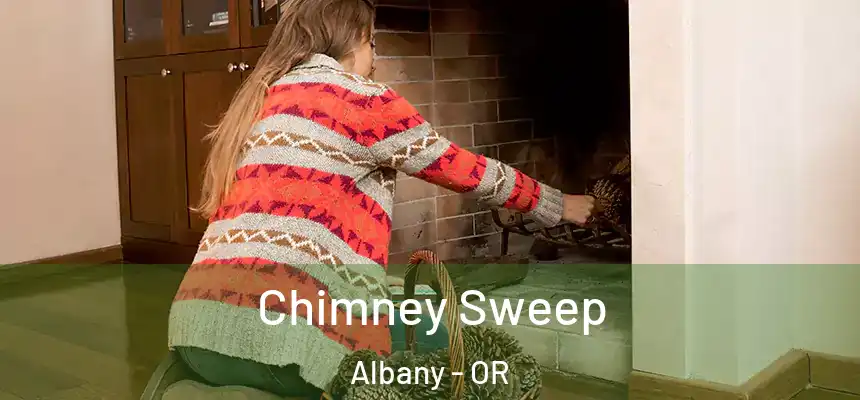 Chimney Sweep Albany - OR