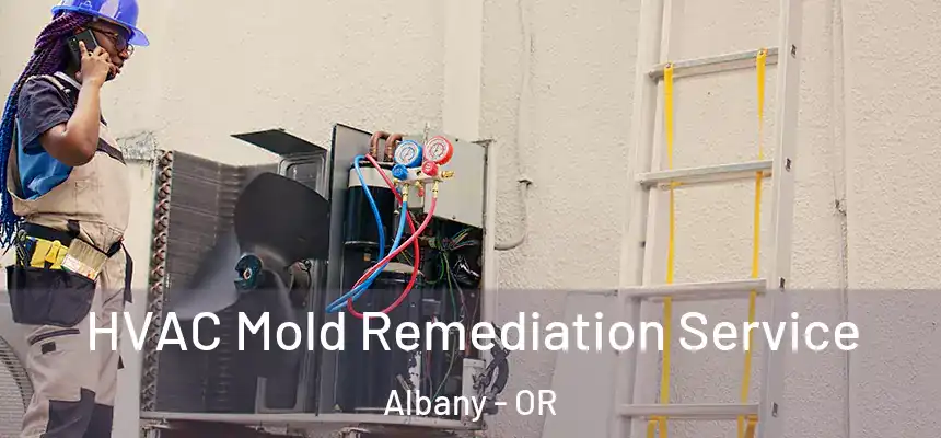  HVAC Mold Remediation Service Albany - OR