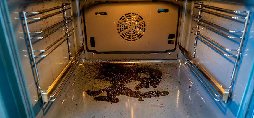 Our Dryer Vent Mold Cleaning Services in Albany, OR