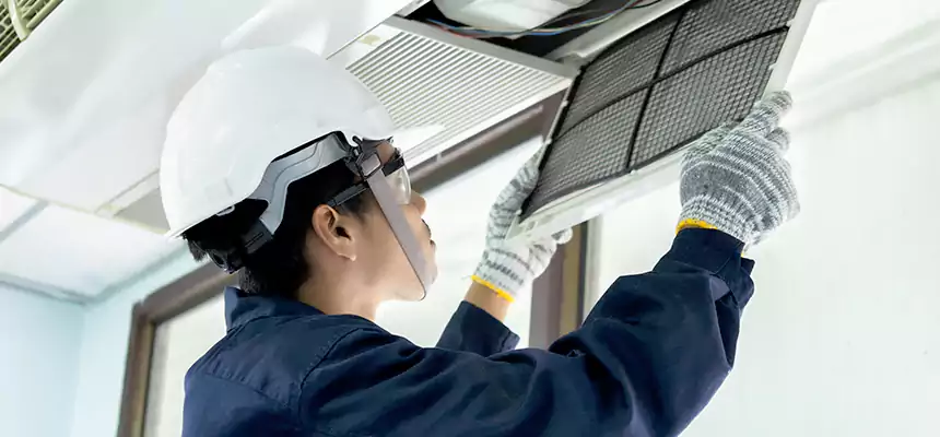 Our Mold & Mildew Removal from Air Ducts Services in Albany, OR