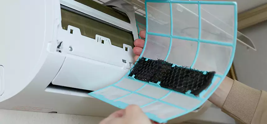 Gentle Ductwork Odor-Control Pet Dander Duct Cleaning in Albany, OR