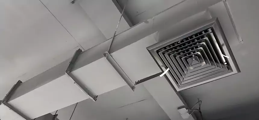 Our Rodent Droppings In Vents Services in Albany, OR