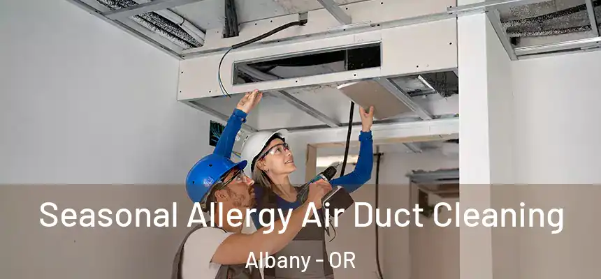  Seasonal Allergy Air Duct Cleaning Albany - OR