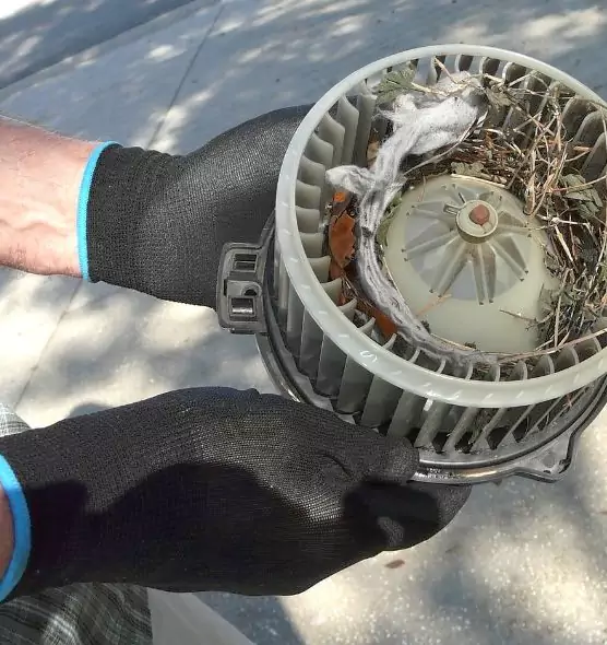 About Air Duct Mice Removal in Albany, OR