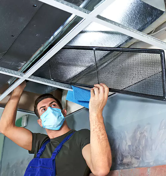 Professional Air Duct Pollen Cleaning in Albany, OR