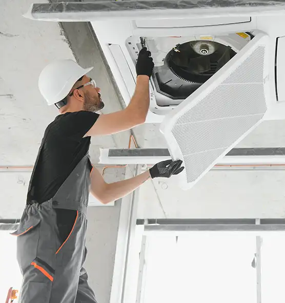 About Air Duct Rodent Removal in Albany, OR