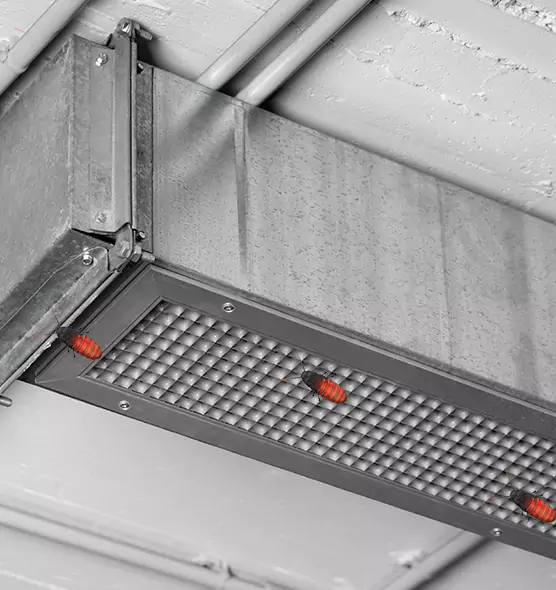 Affordable Insect Removal from Air Ducts in Albany, OR