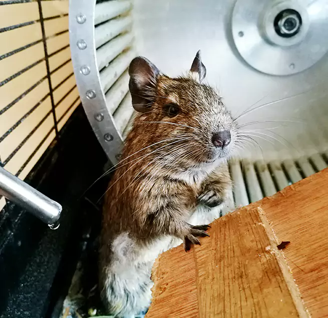 Why Homeowners & Businesses Trust Us Albany, OR