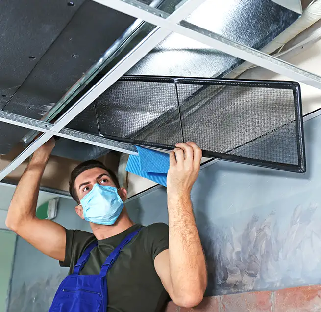 Why Homeowners & Businesses Trust Us in Albany, OR?