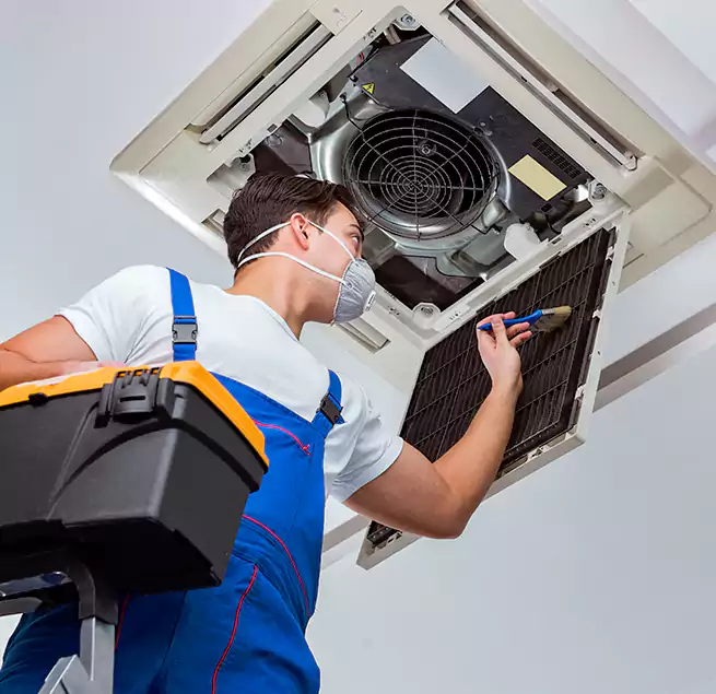 Why Homeowners & Businesses Trust Us in Albany, OR?