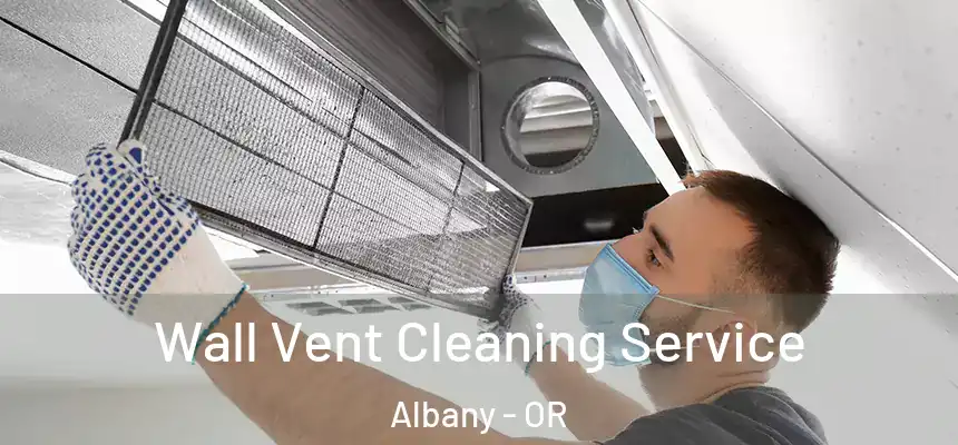 Wall Vent Cleaning Service Albany - OR